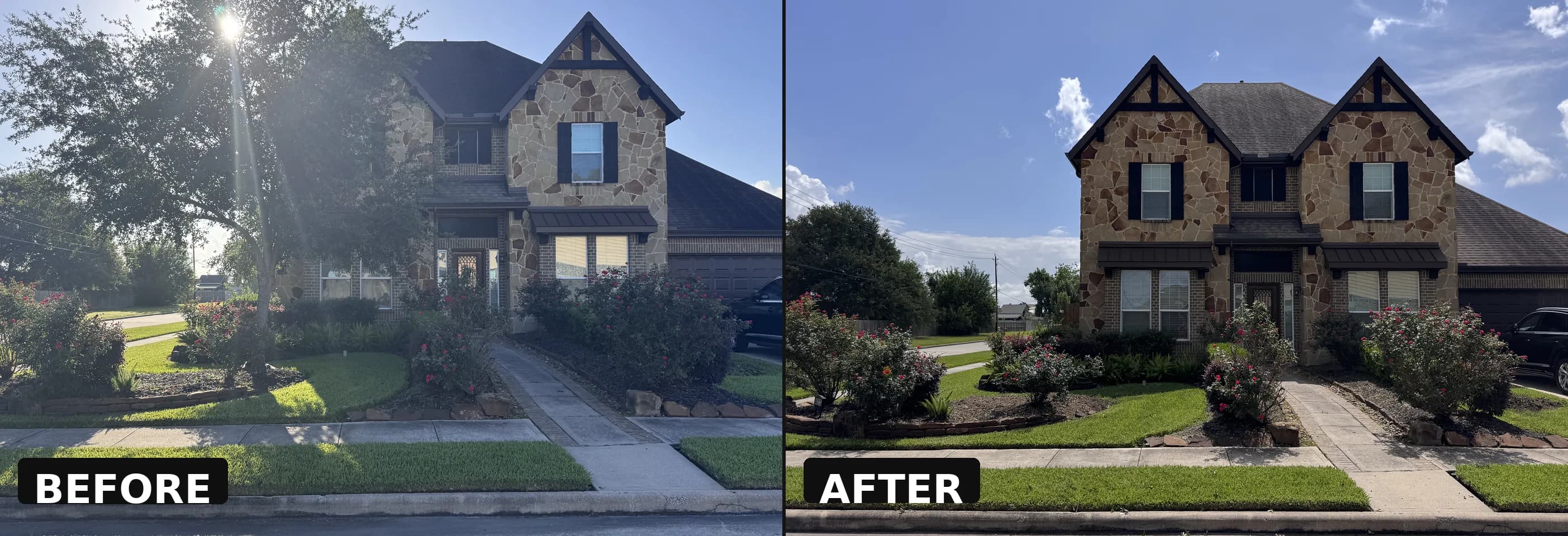Before and after stump grinding β large front yard tree removed, Houston TX