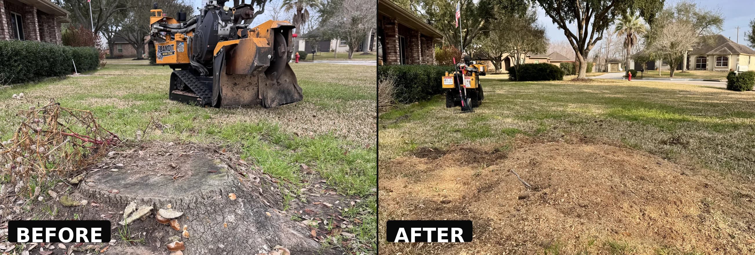 Before and after stump grinding β grinder in action and finished result, Houston TX