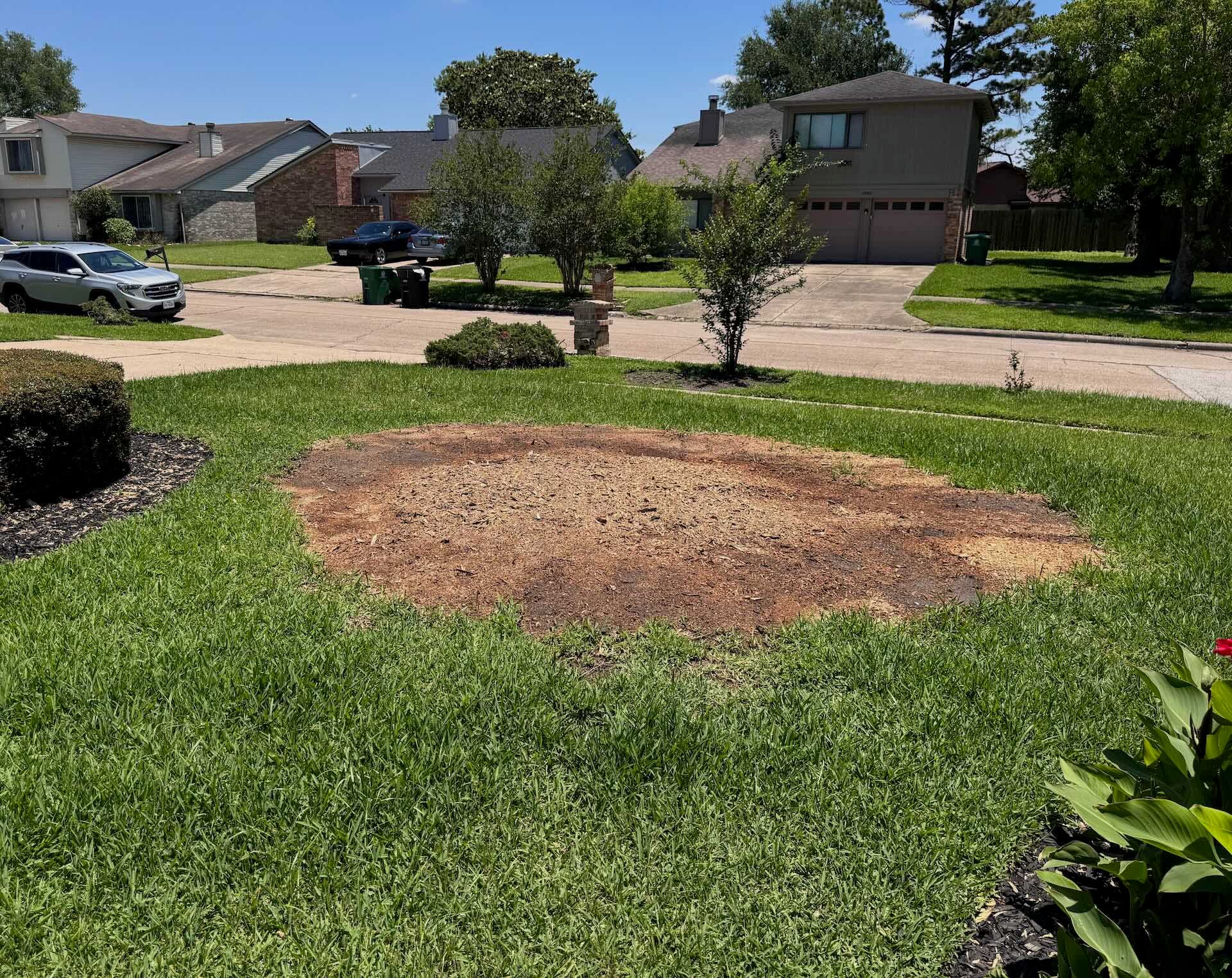 Same Manvel property after land clearing by Stump Daddy, ground level and ready for landscaping