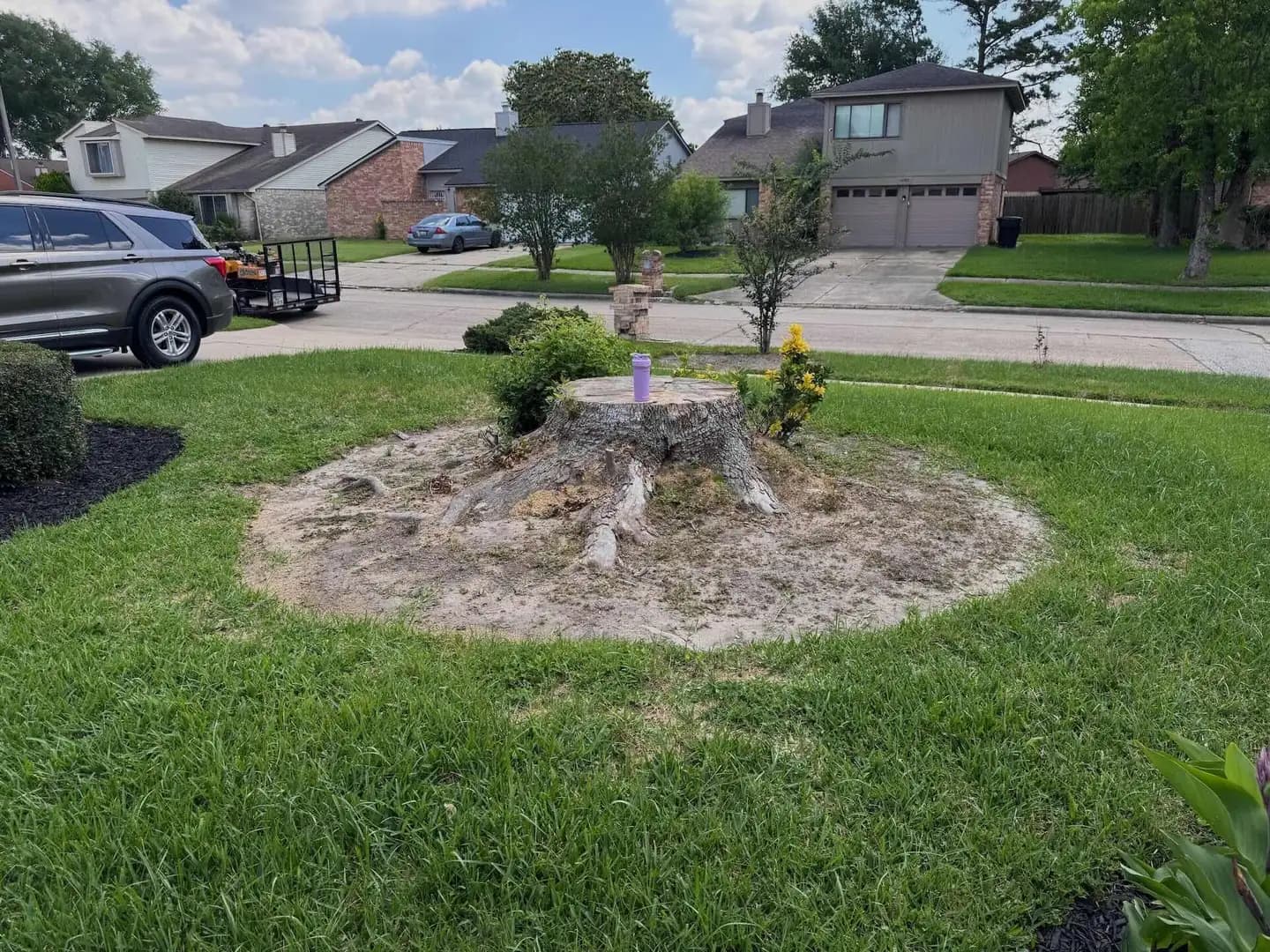 Residential property in Friendswood, TX before stump grinding by Stump Daddy